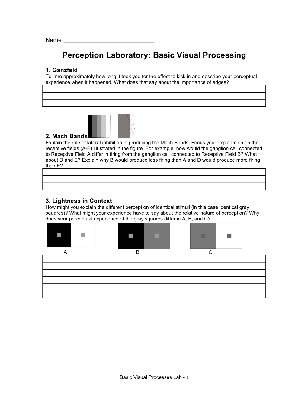 Perception Laboratory: Basic Visual Processing