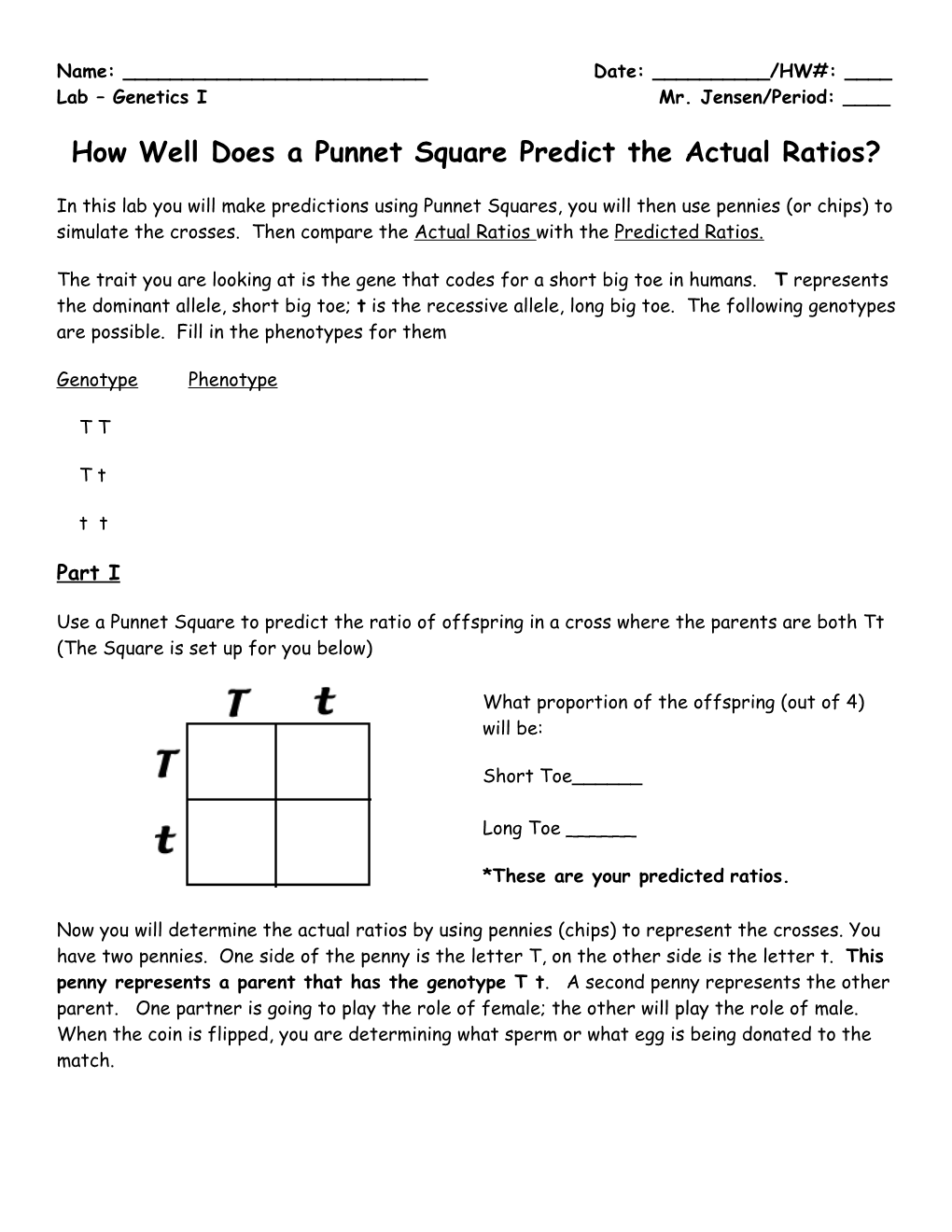 How Well Does a Punnet Square Predict the Actual Ratios?