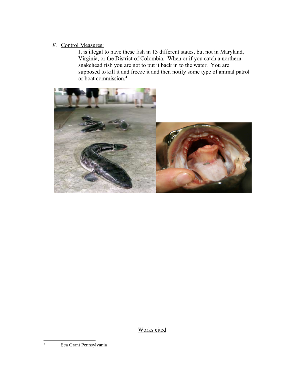 The Northern Snakehead