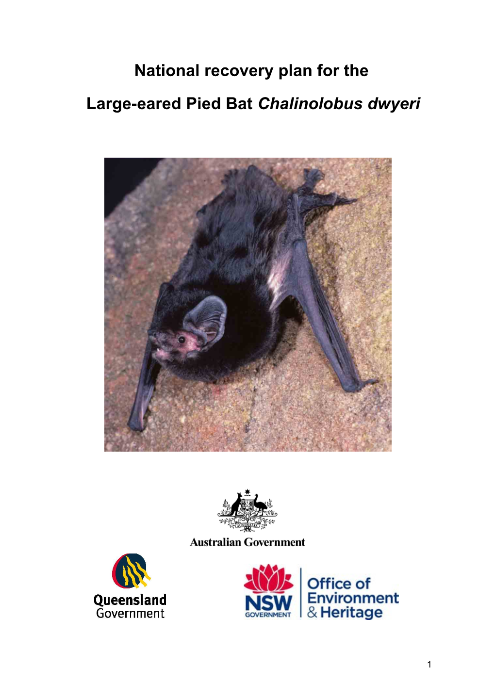 National Recovery Plan for the Large-Eared Pied Bat Chalinolobus Dwyeri