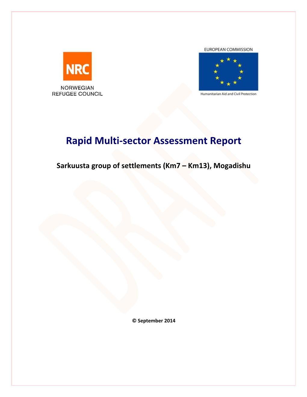 Rapid Multi-Sector Assessment Report