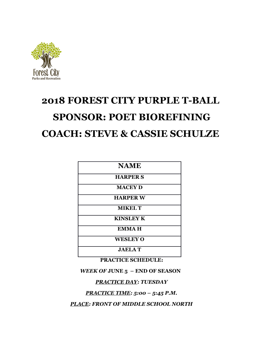 2018 Forest City Red T-Ball