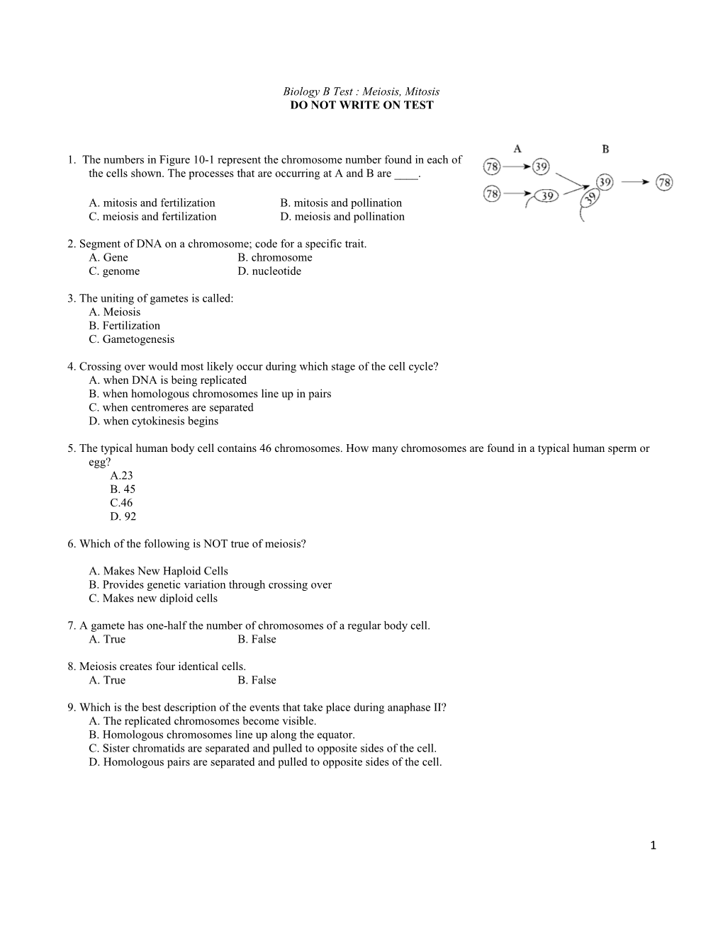 Biology B Test : Meiosis, Mitosis