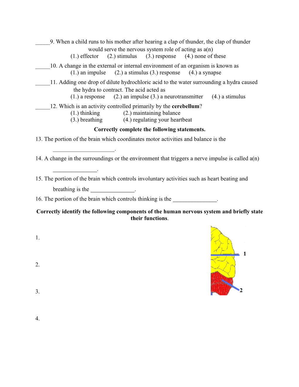 Nervous Structure Worksheet # 1 Mr. Vorstadt