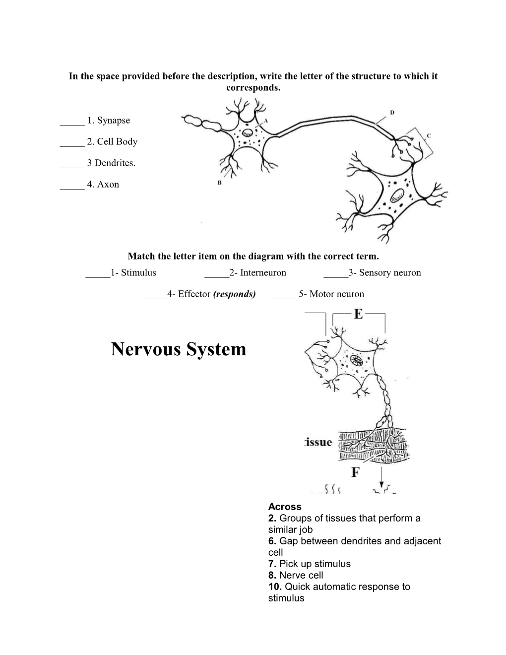 Nervous Structure Worksheet # 1 Mr. Vorstadt