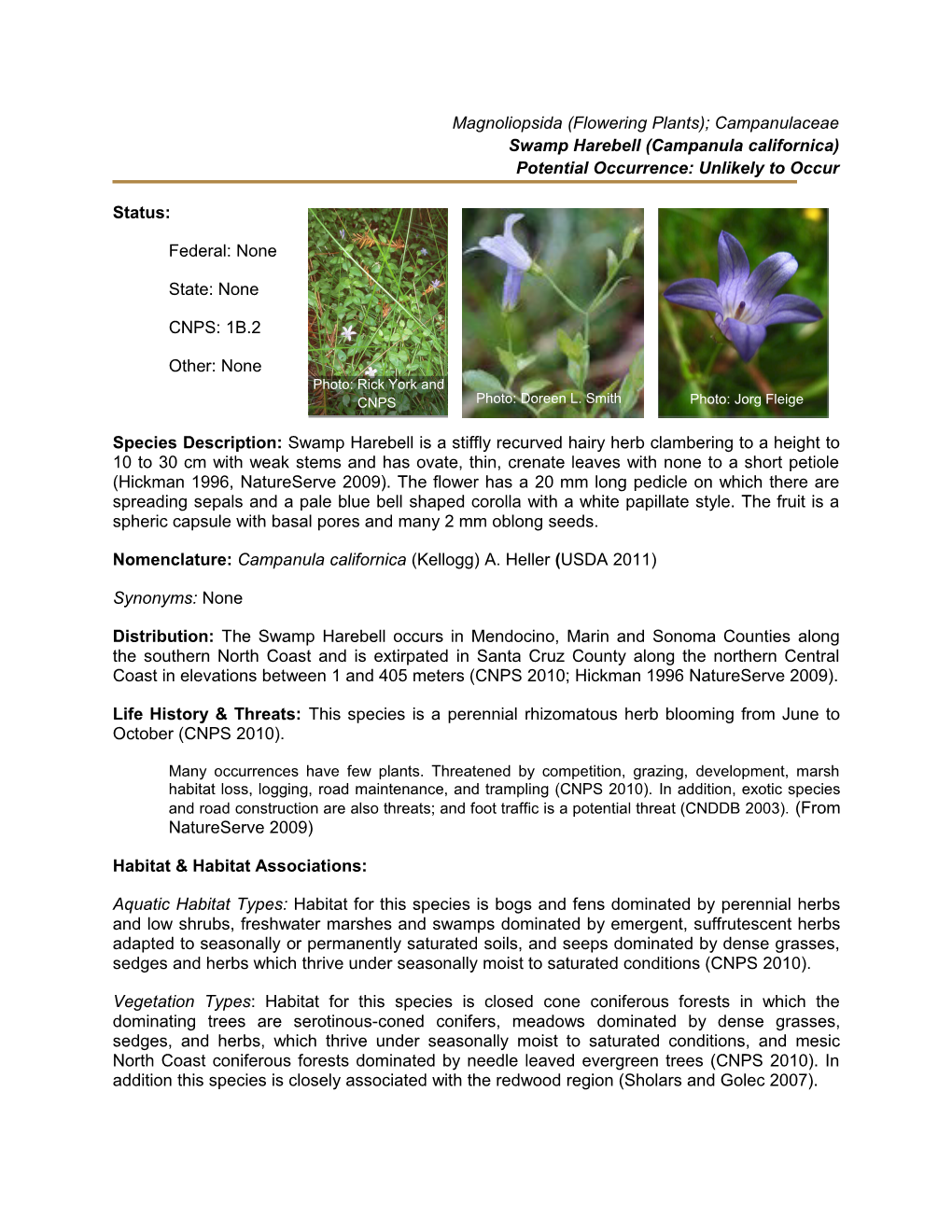 Magnoliopsida (Flowering Plants); Campanulaceae