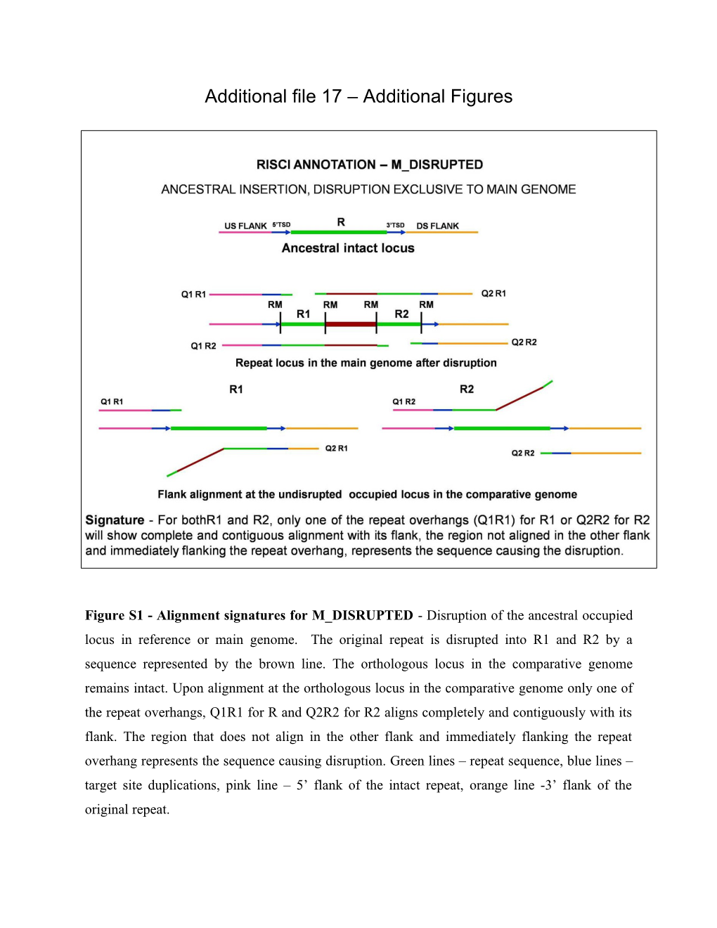 Additional File 17 Additional Figures