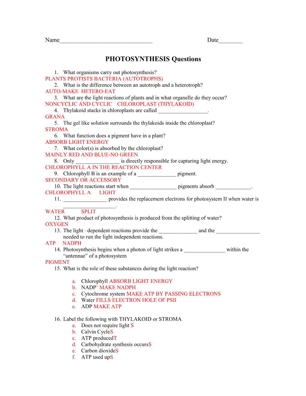 PHOTOSYNTHESIS Questions