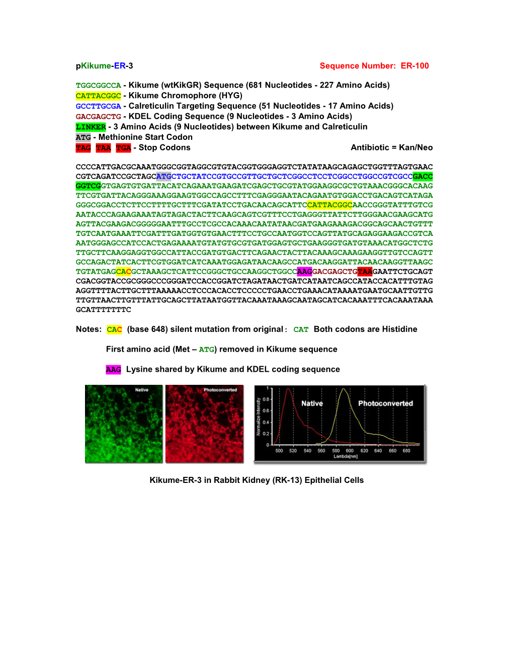 TGGCGGCCA - Kikume (Wtkikgr) Sequence (681 Nucleotides - 227 Amino Acids)