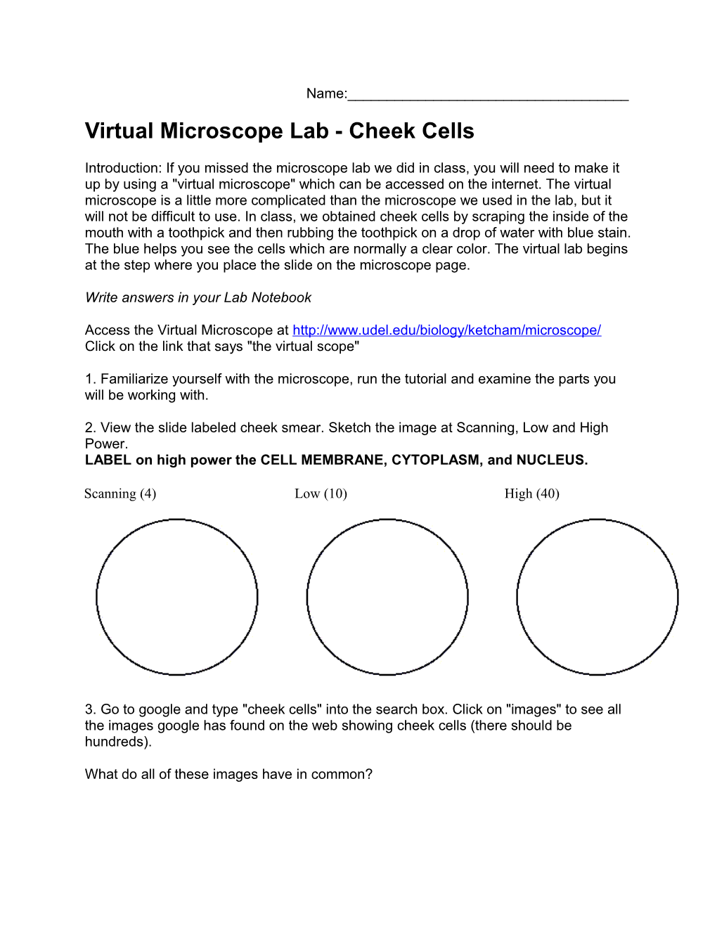 Virtual Microscope Lab - Cheek Cells