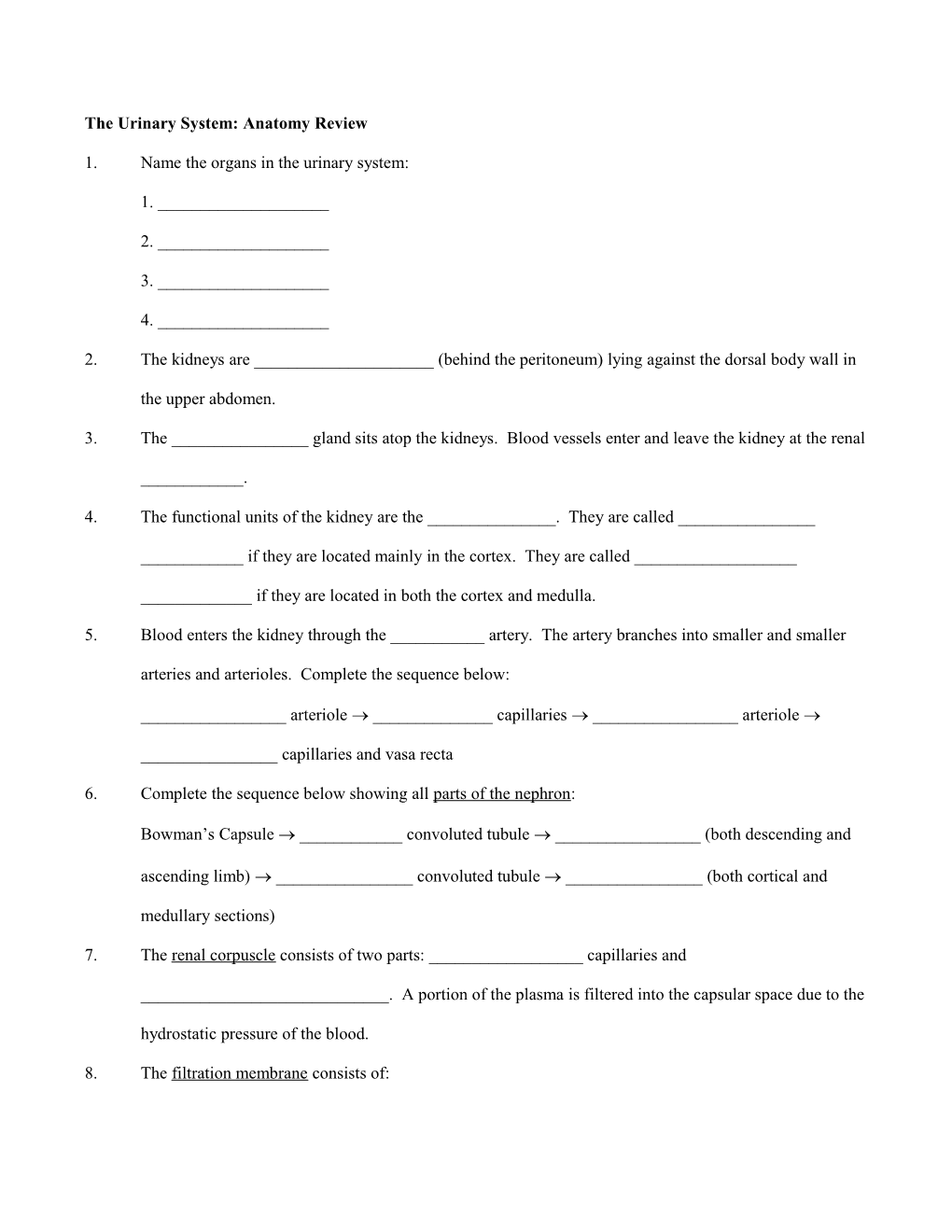 IP Exercise Sheet