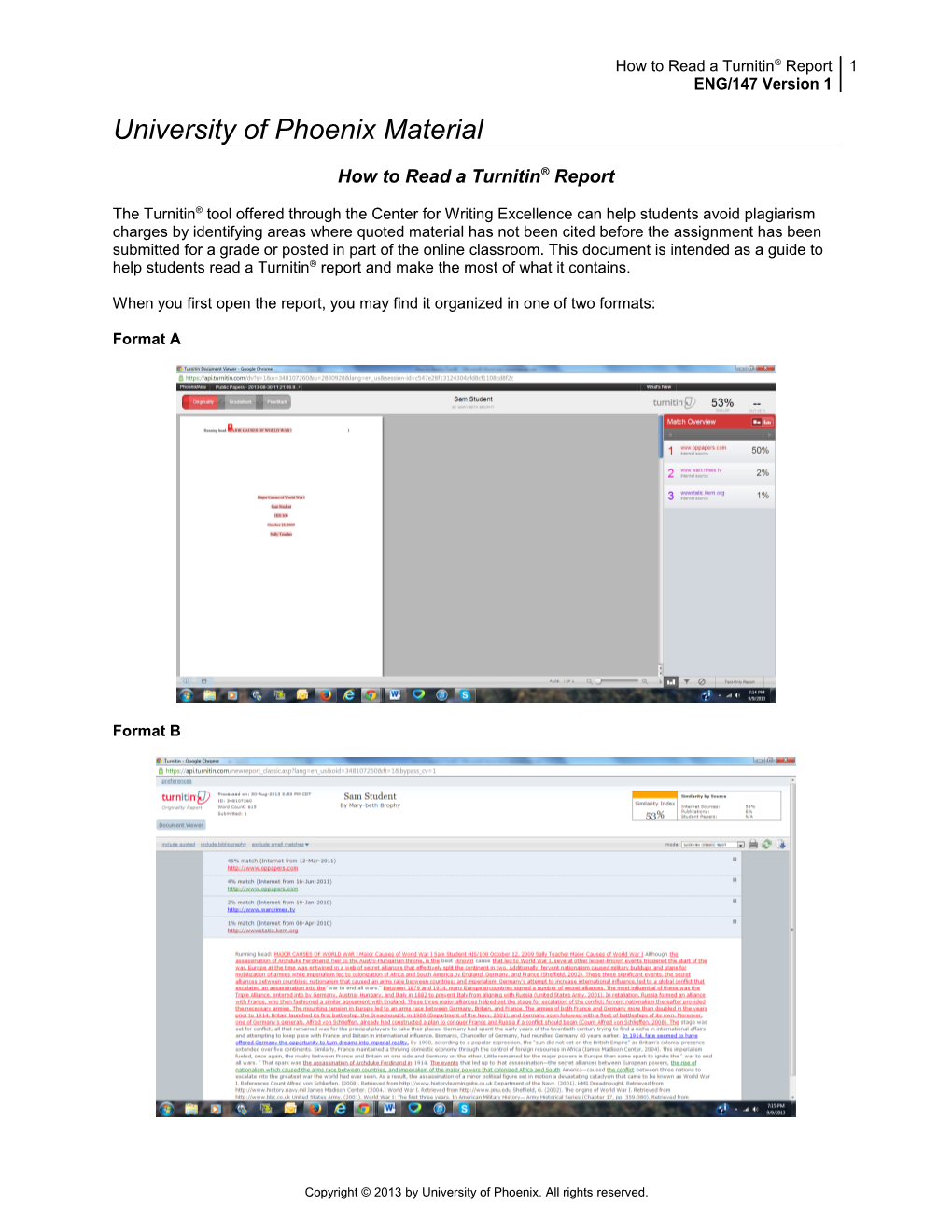 How to Read a Turnitin Report