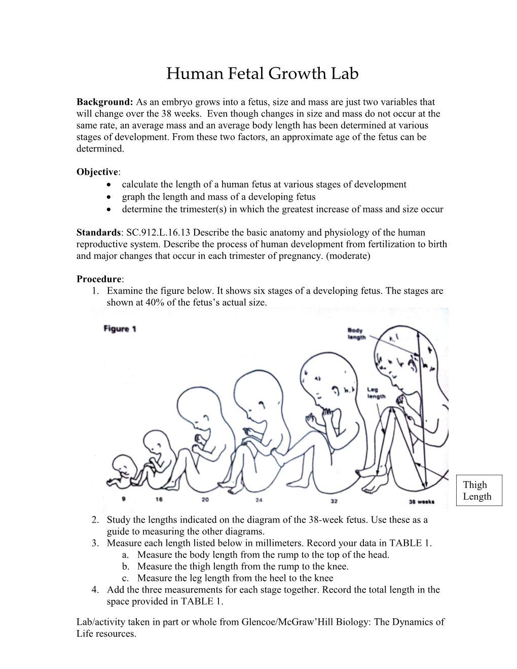 Human Fetal Growth Lab