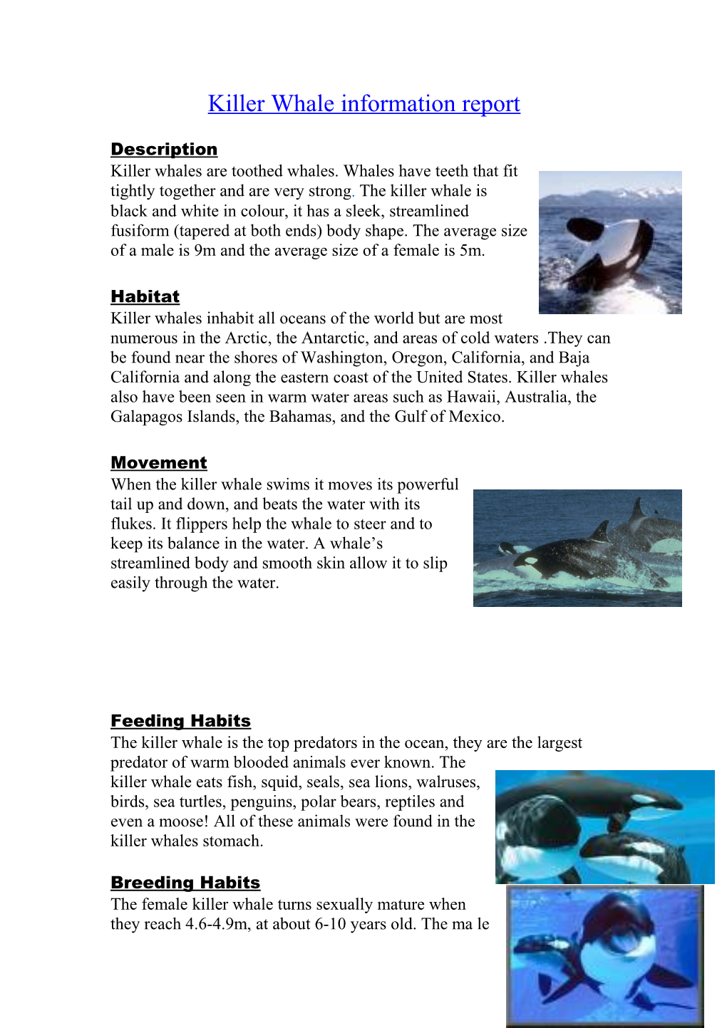 Killer Whale Information Report