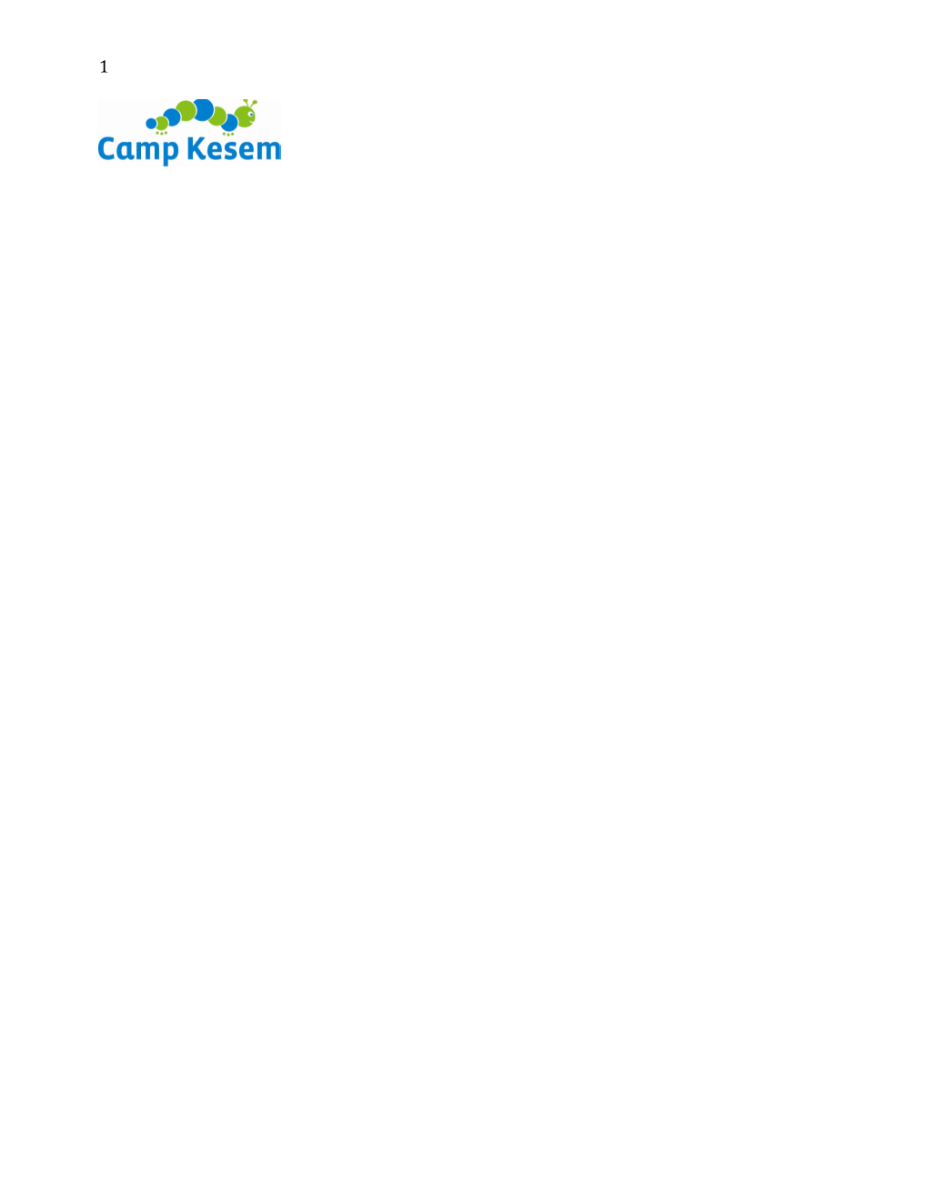 Camp Kesem New Counselor App 2013 s1