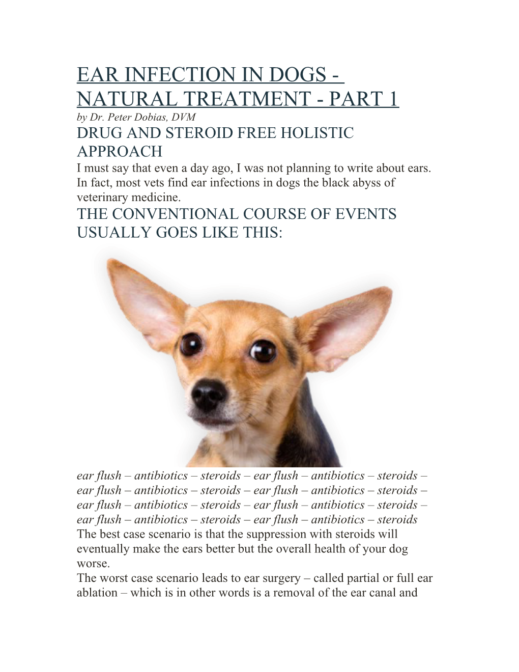 Ear Infection in Dogs - Natural Treatment - Part 1