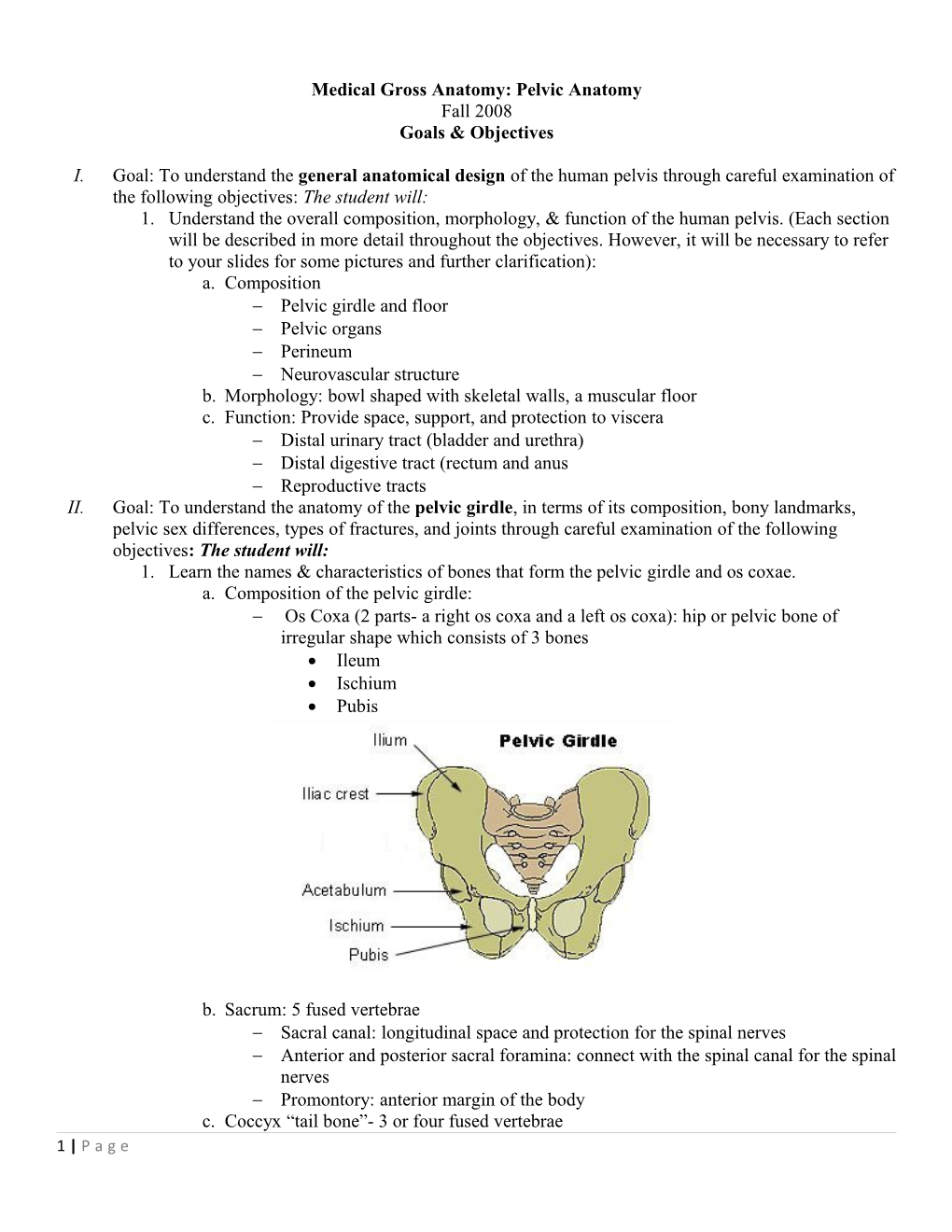 Medical Gross Anatomy: Pelvic Anatomy