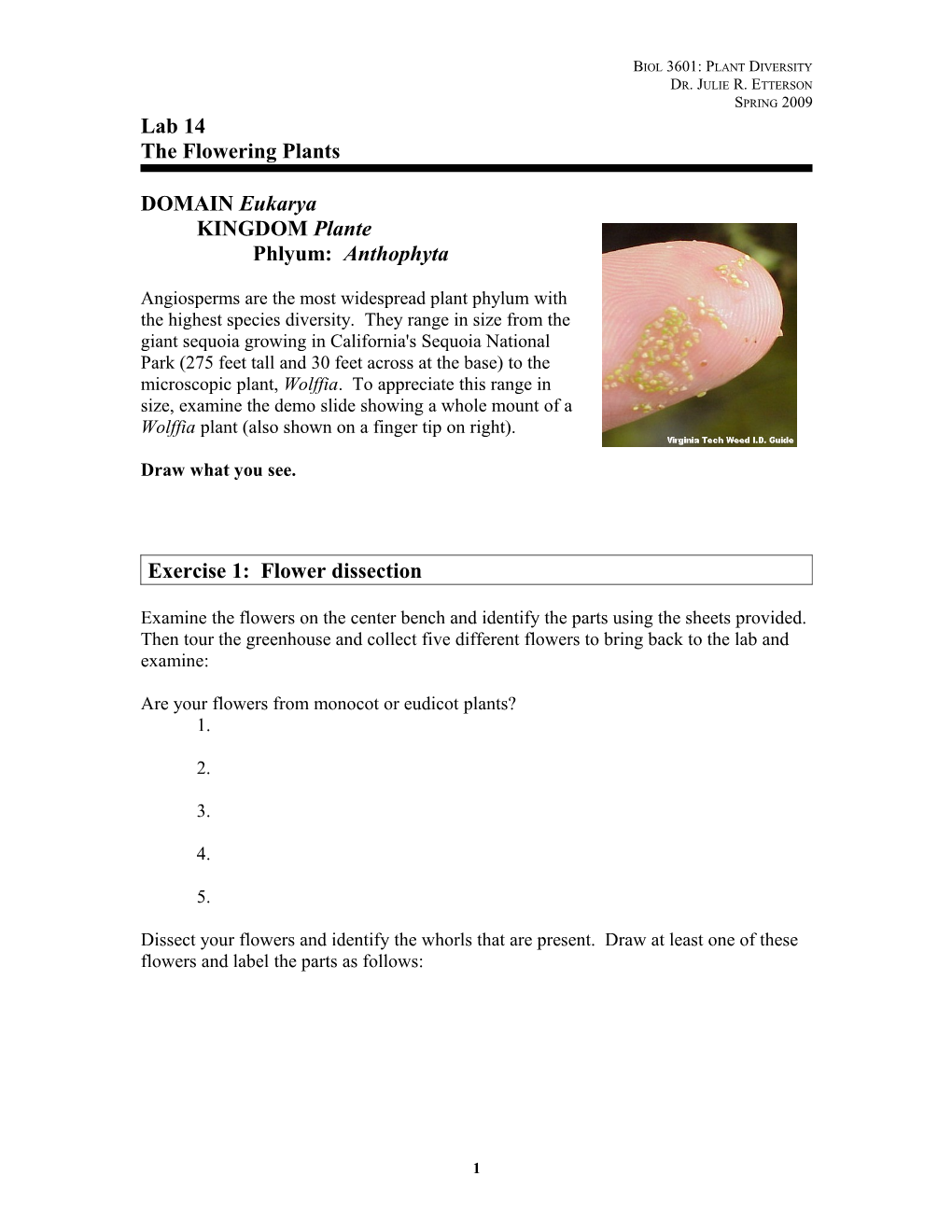 Biol 3601: Plant Diversity