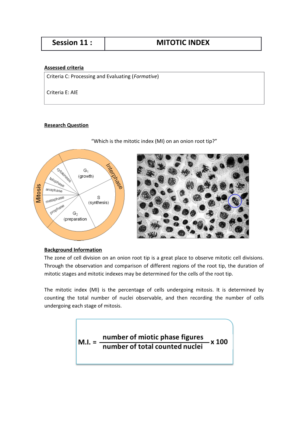 Criteria C: Processing and Evaluating (Formative)