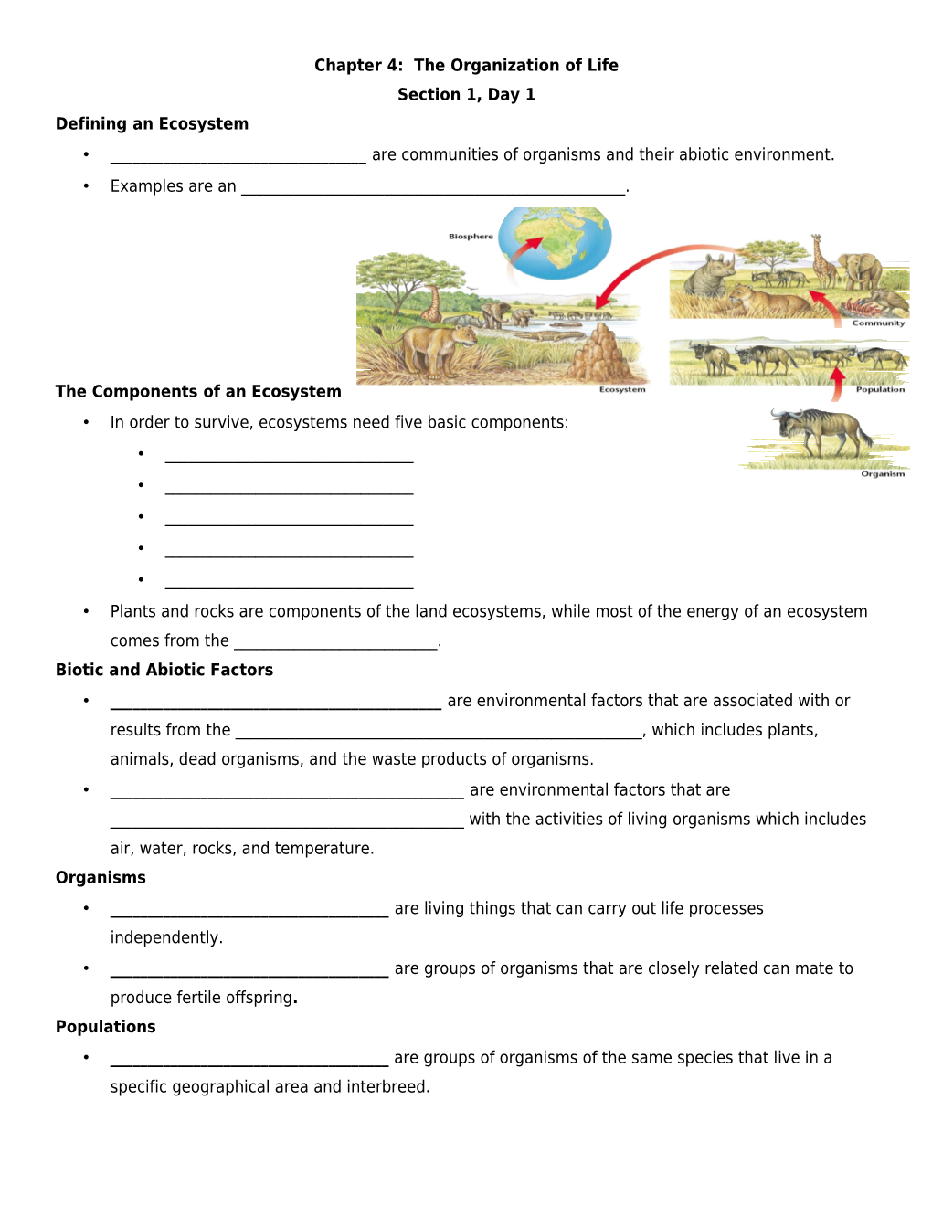 Chapter 4: the Organization of Life