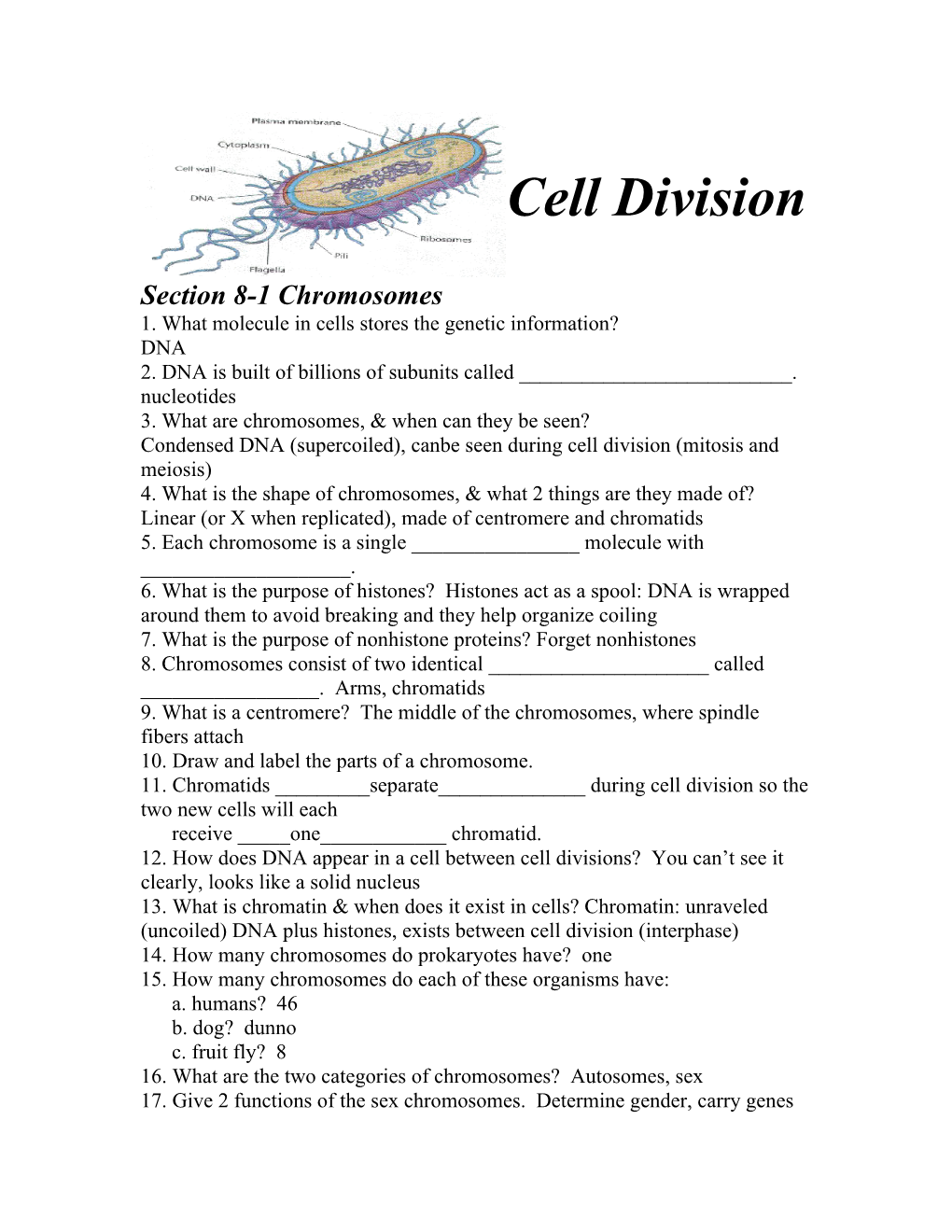 1. What Molecule in Cells Stores the Genetic Information?