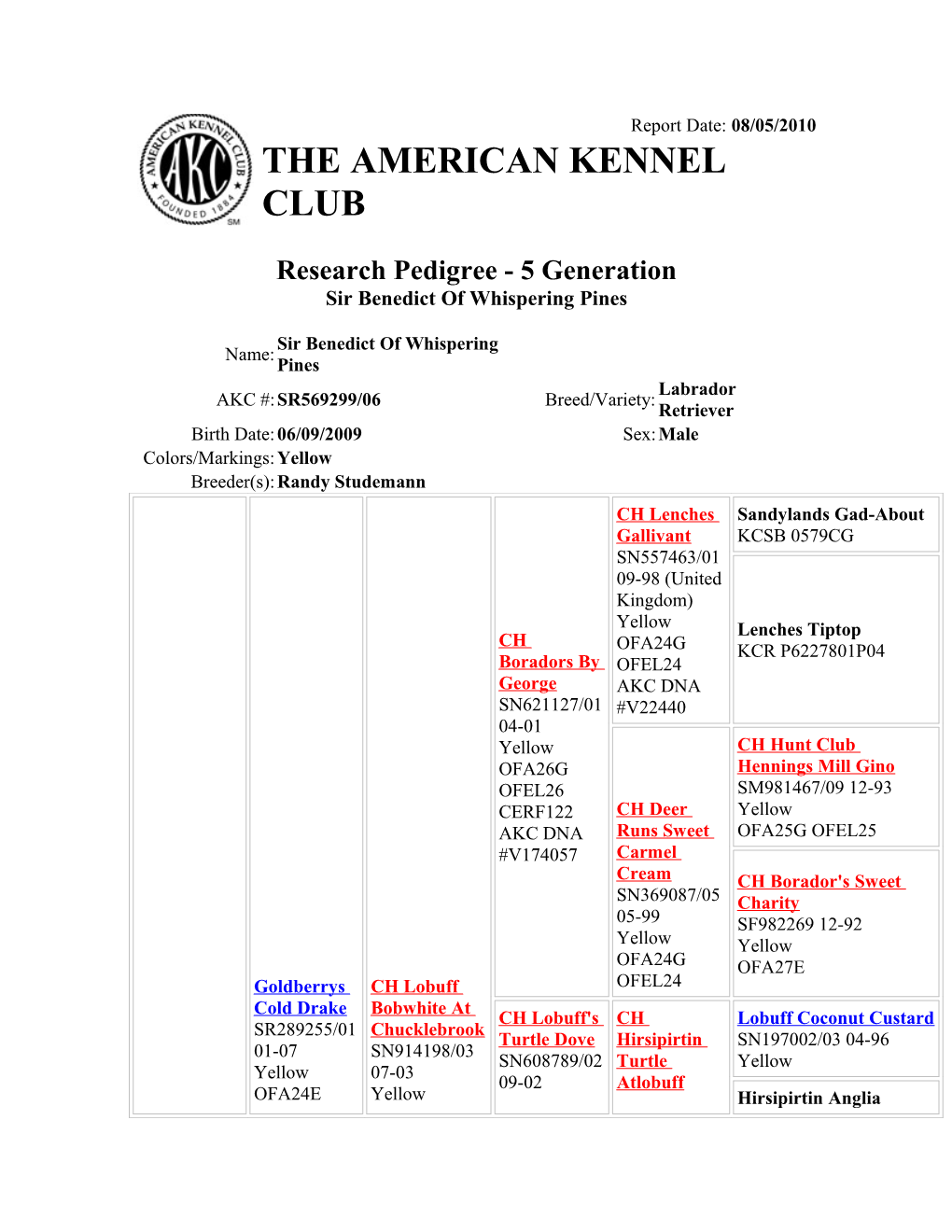 The American Kennel Club