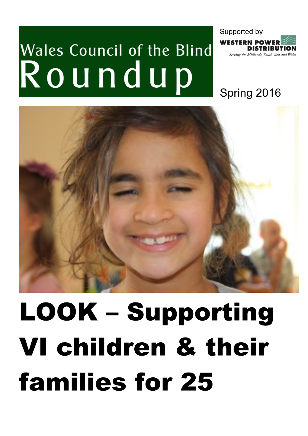 LOOK Supporting VI Children & Their Families for 25 Years in the Supplement: Finding Funding