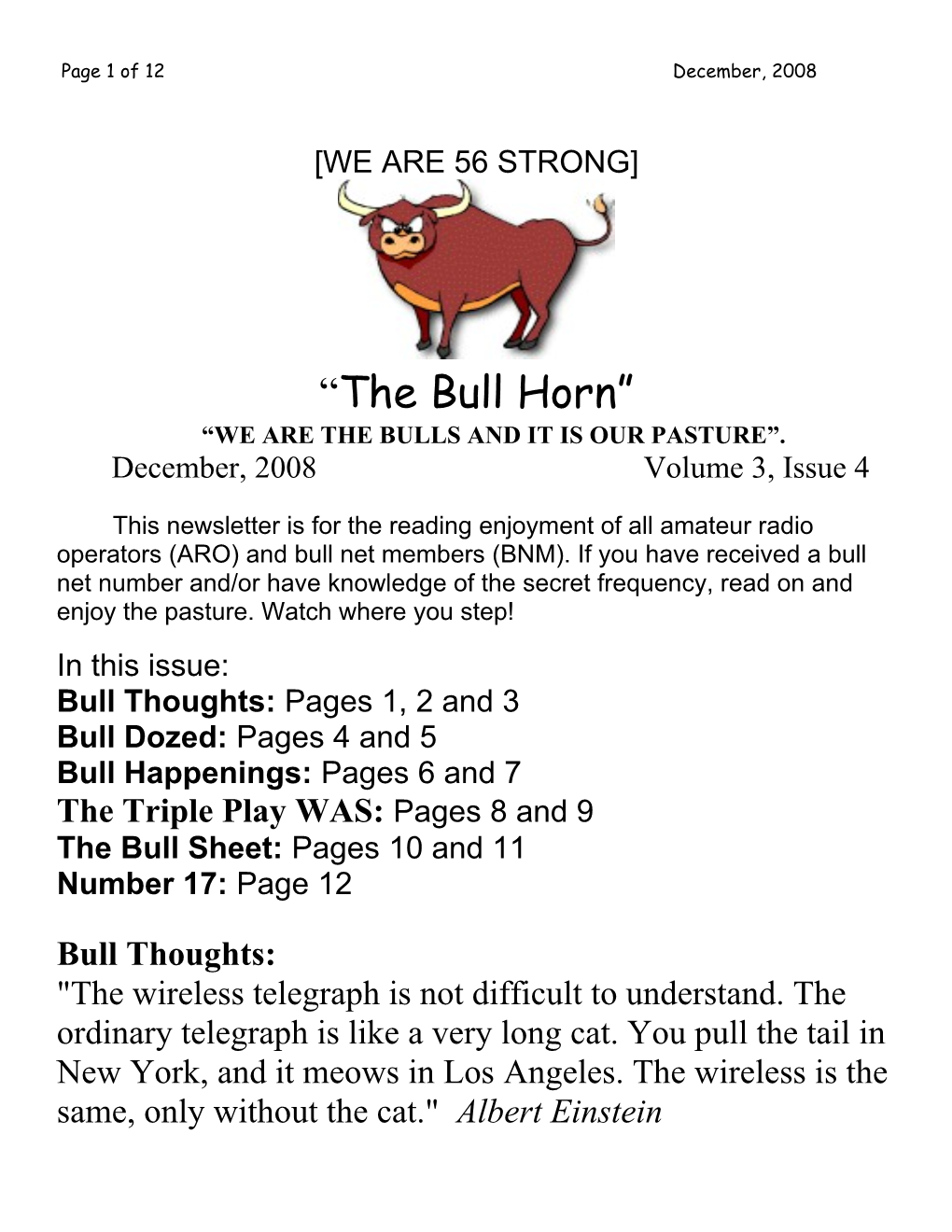 Bull Thoughts: Pages 1, 2 and 3