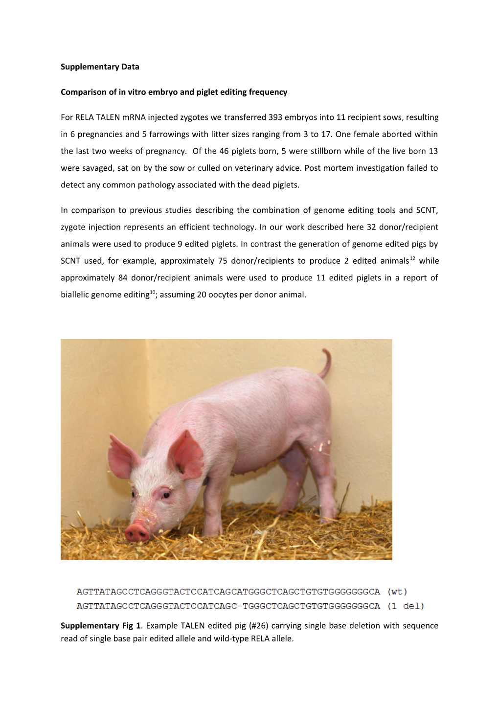 Comparison of in Vitro Embryo and Piglet Editing Frequency