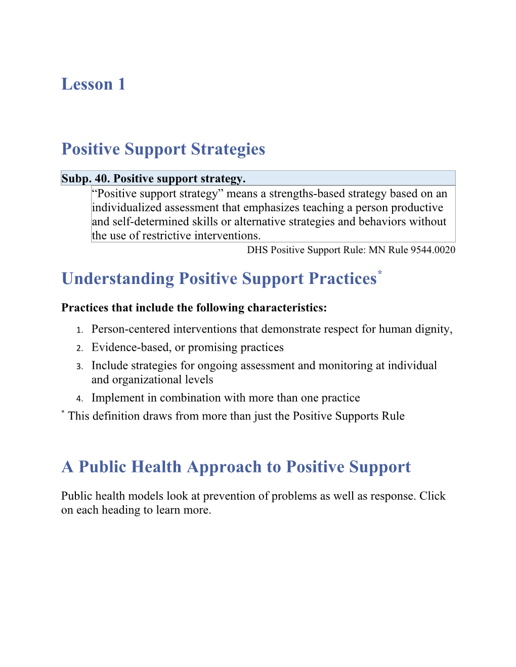 Subp. 40. Positive Support Strategy