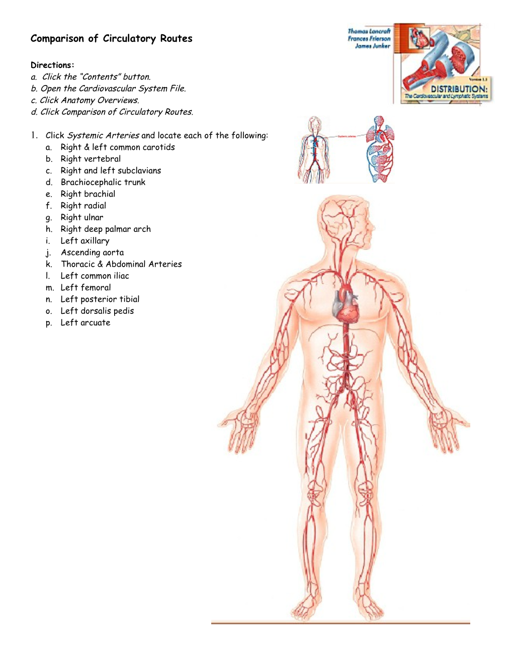 Endocrine System: Overview s5