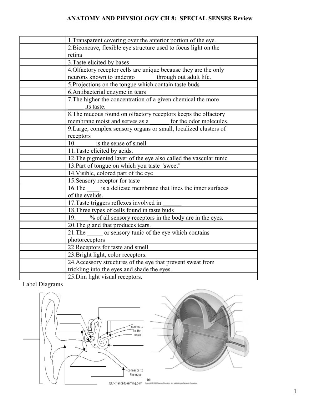 Anatomy and Physiology Ch 16: Special Senses Worksheet
