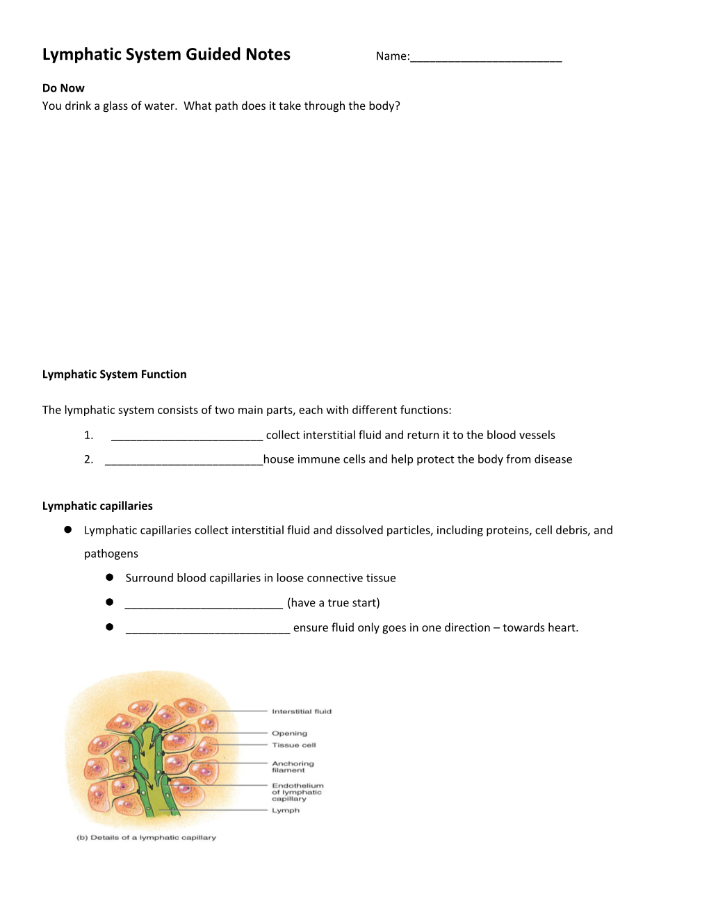 Lymphatic System Guided Notes Name:______