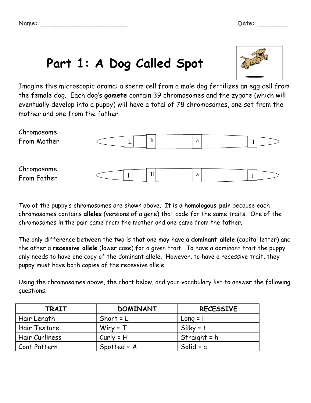 Part 1: a Dog Called Spot