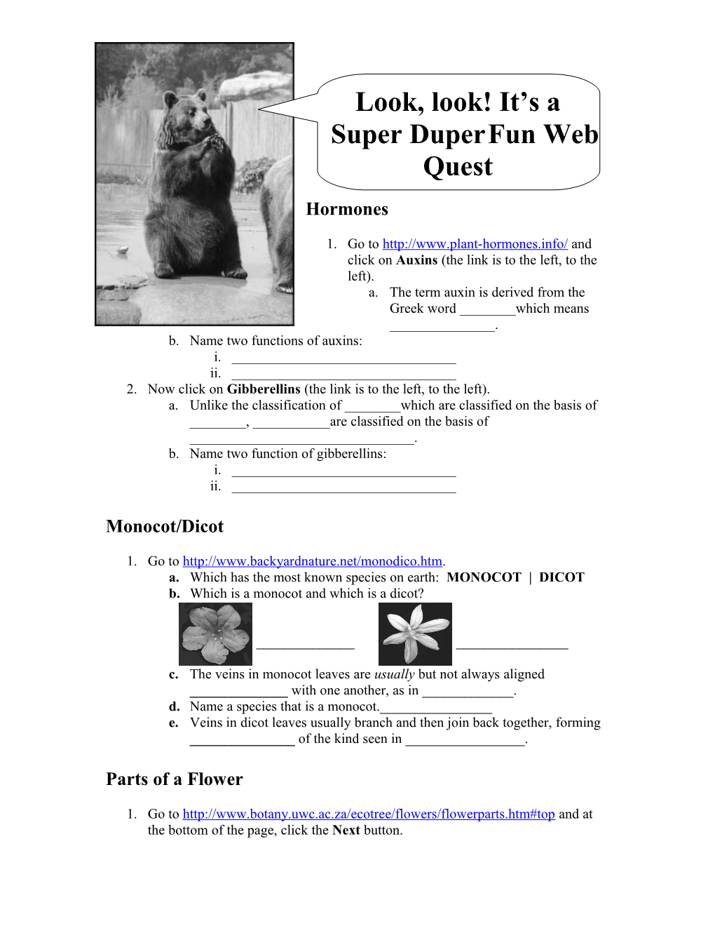 J2 S Super Duper Fun Web Quest