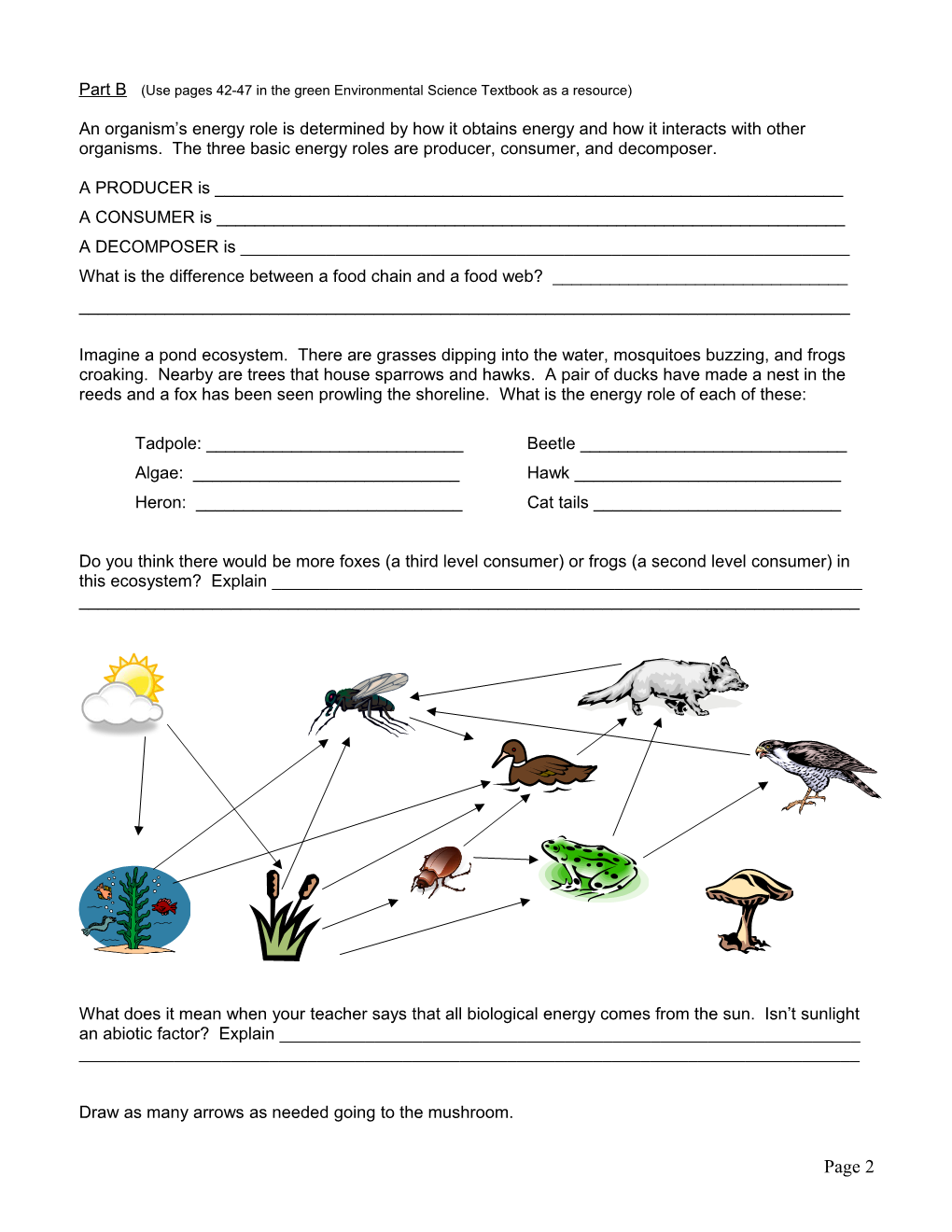 Ecosystems And Food Webs Packet