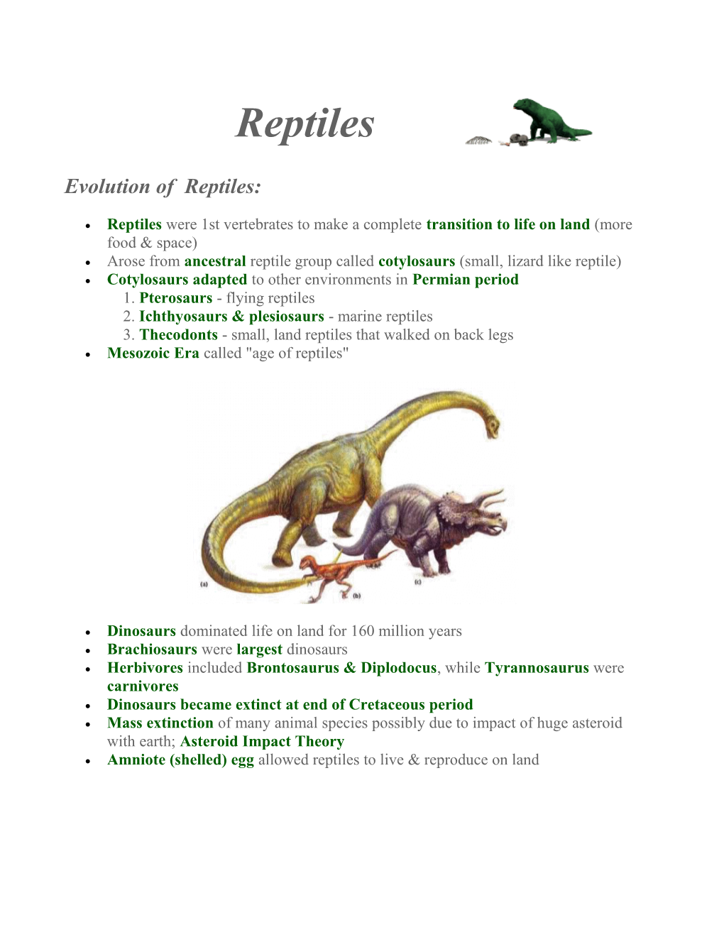 Evolution of Reptiles