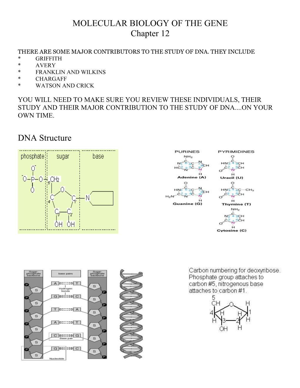 Molecular Biology of the Gene