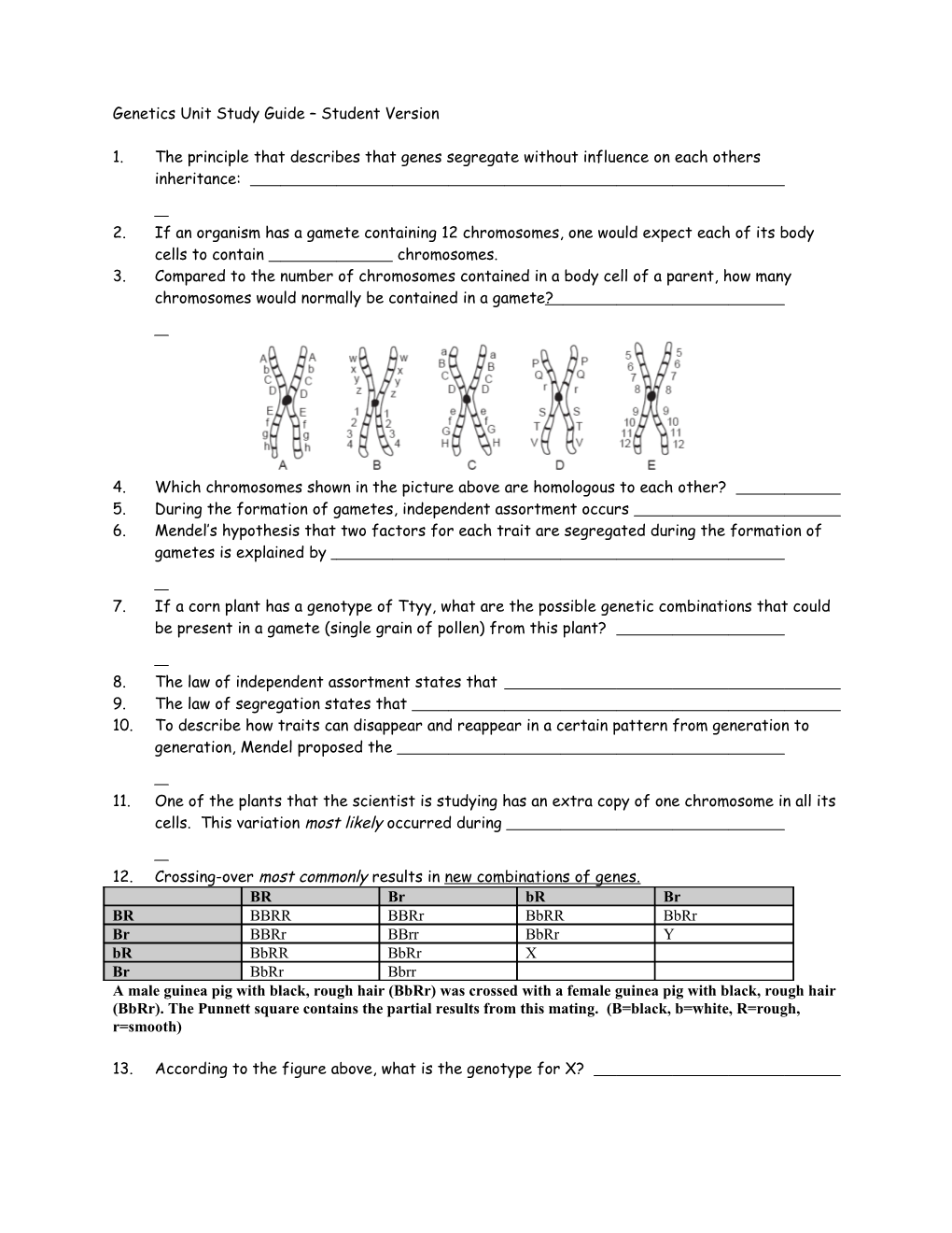 Genetics Unit Study Guide Teacher Version