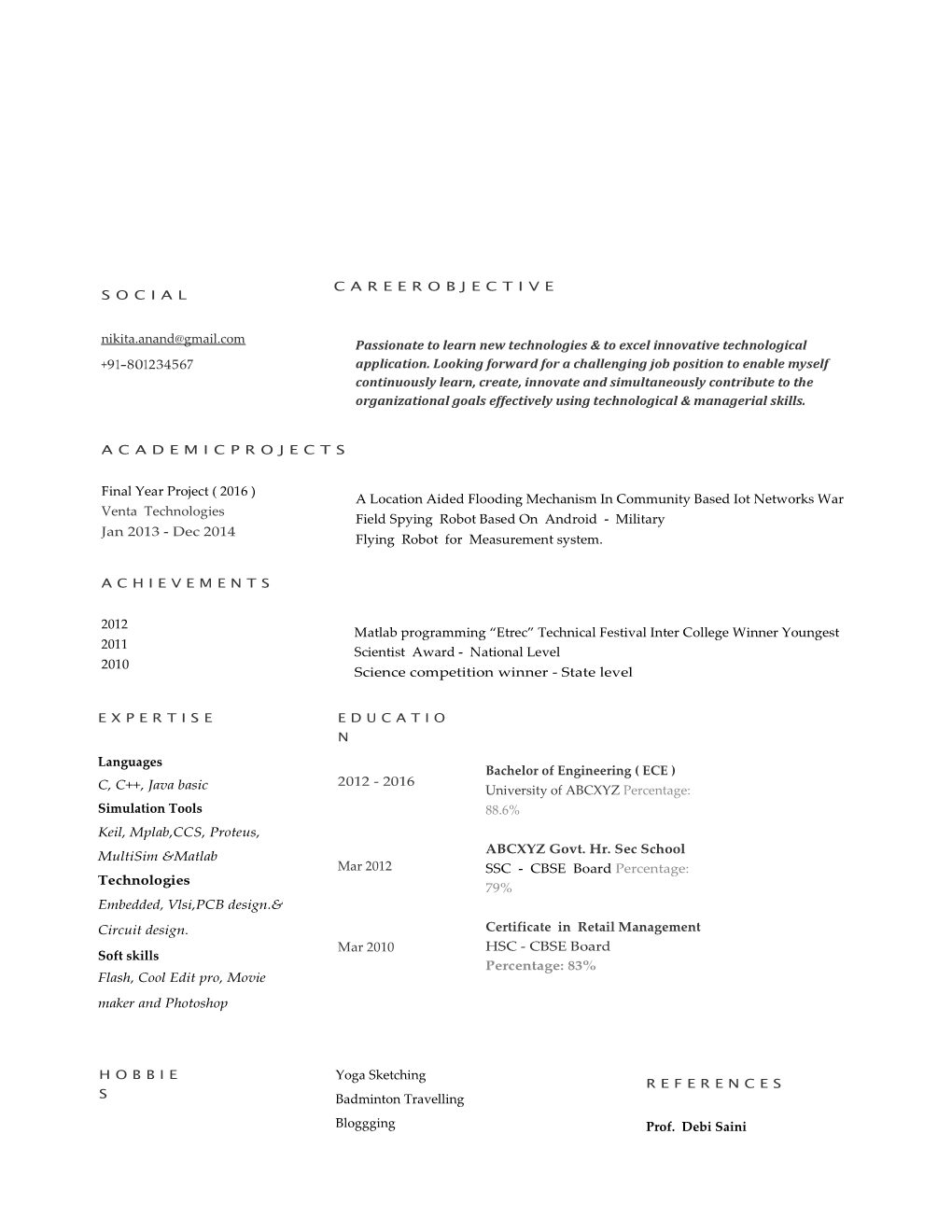 Modern Professional Resume