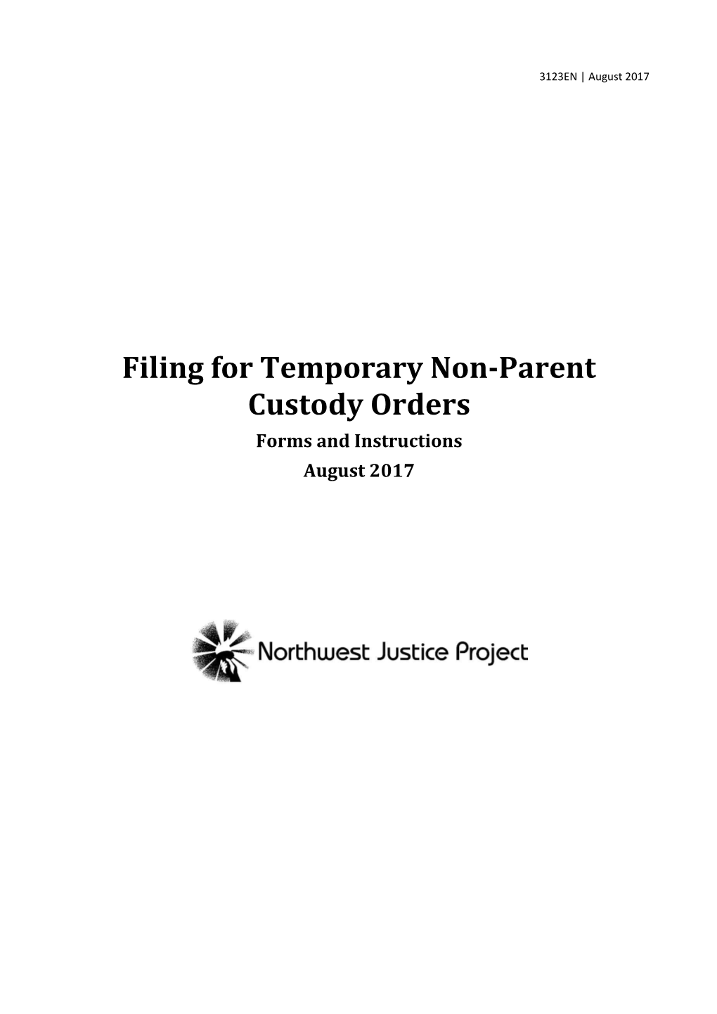 Filing A Nonparental Custody Action