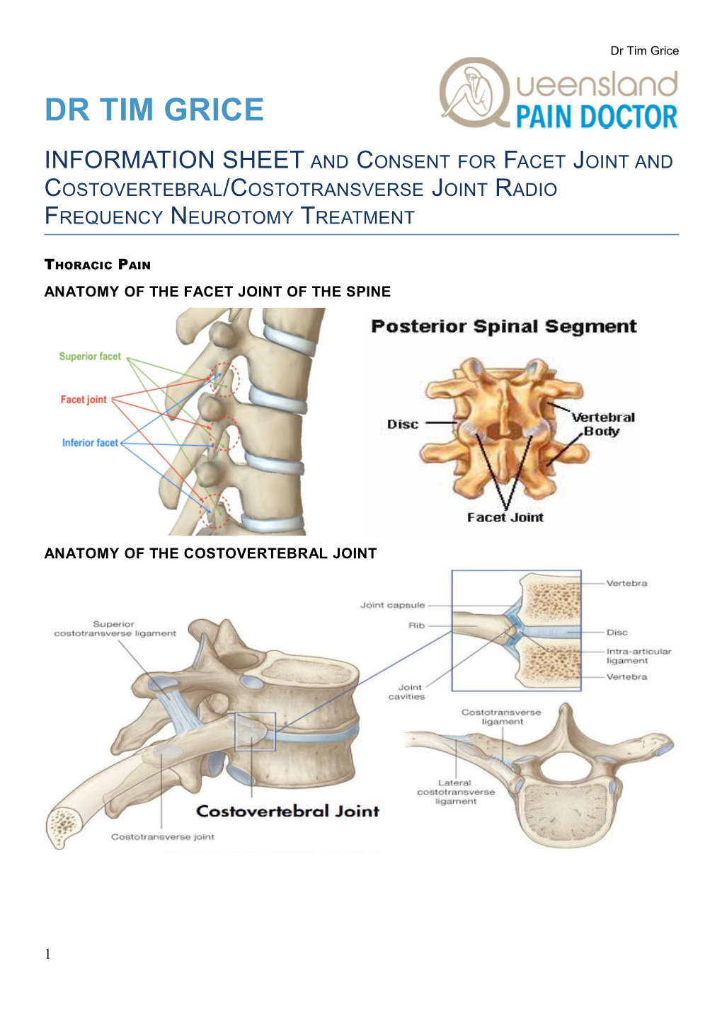 Anatomy of the Facet Joint of the Spine