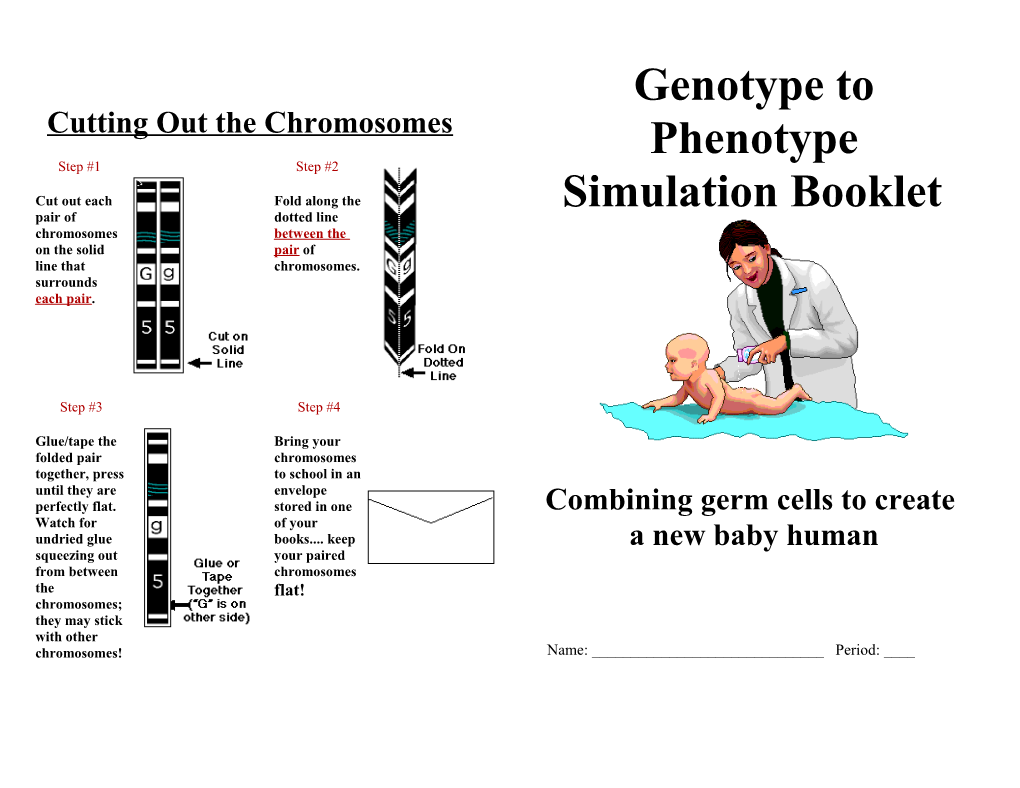 Genotype to Phenotype