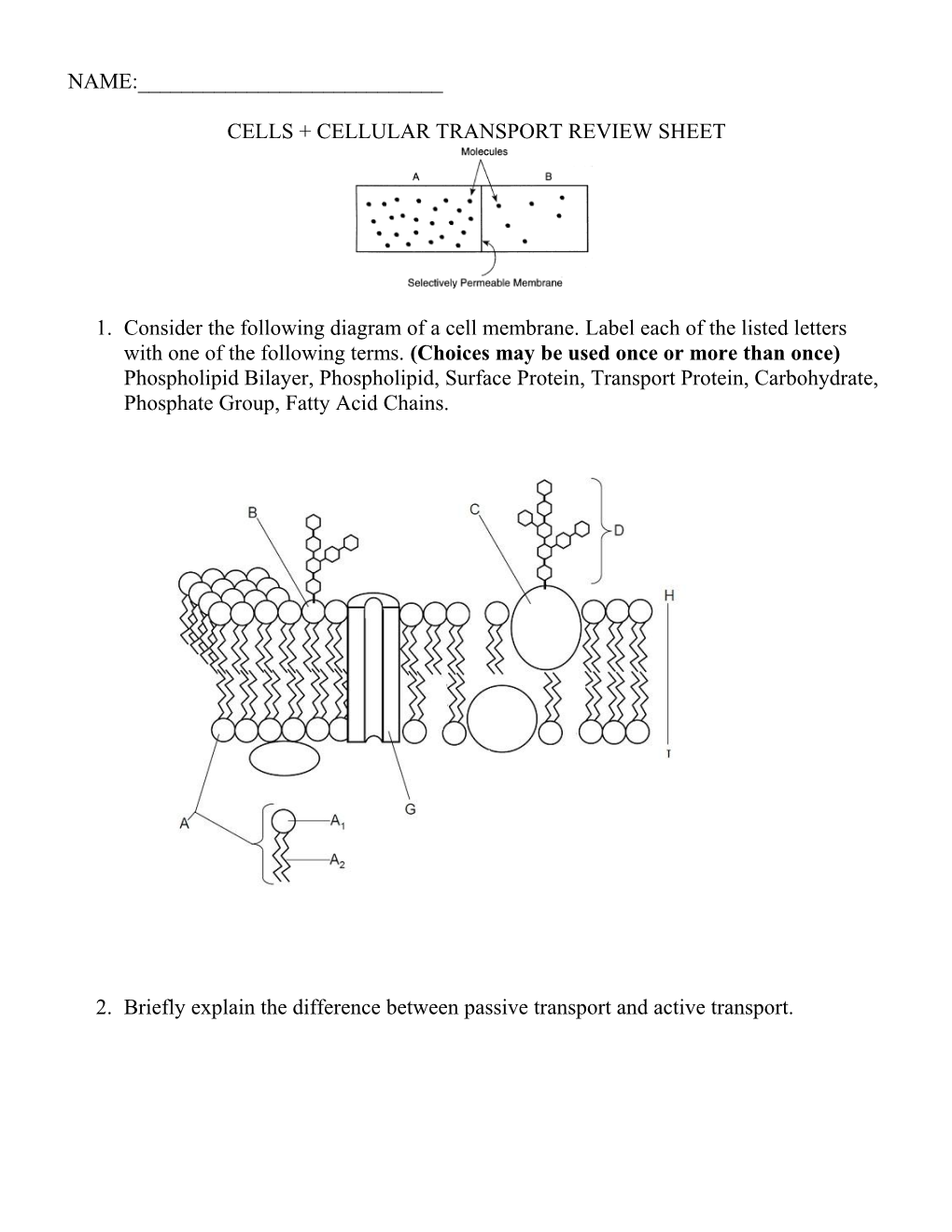 Cells + Cellular Transport Review Sheet