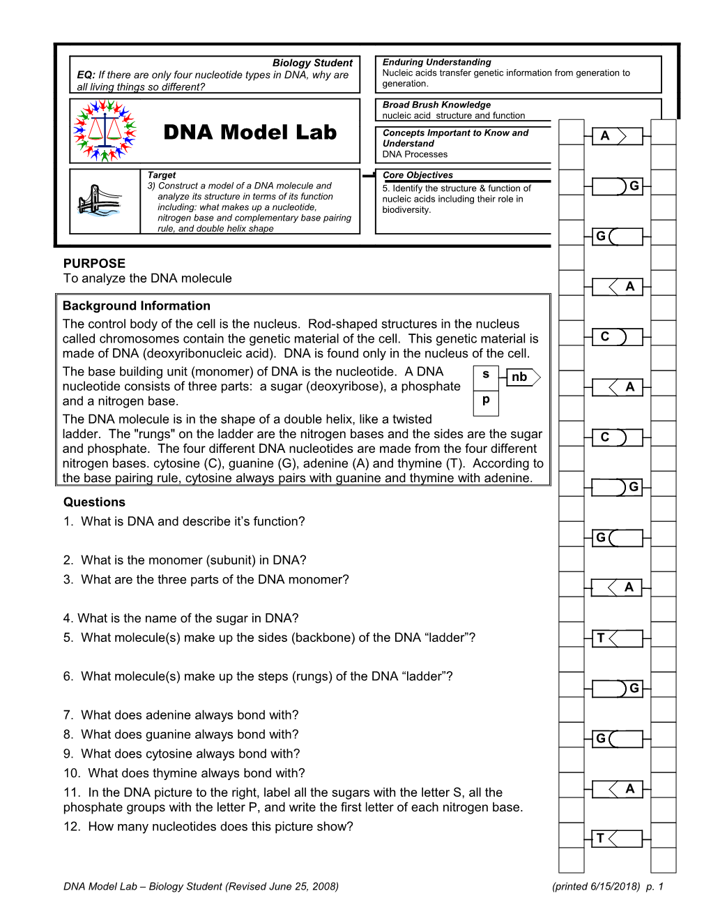 To Analyze the DNA Molecule