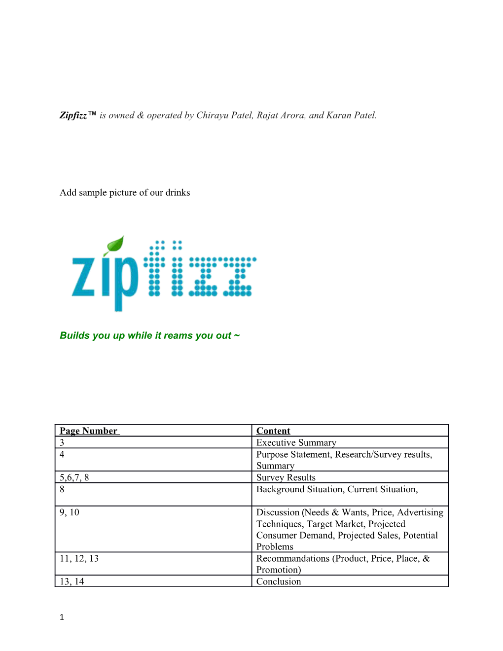 Zipfizz Is Owned & Operated by Chirayu Patel, Rajat Arora, and Karan Patel