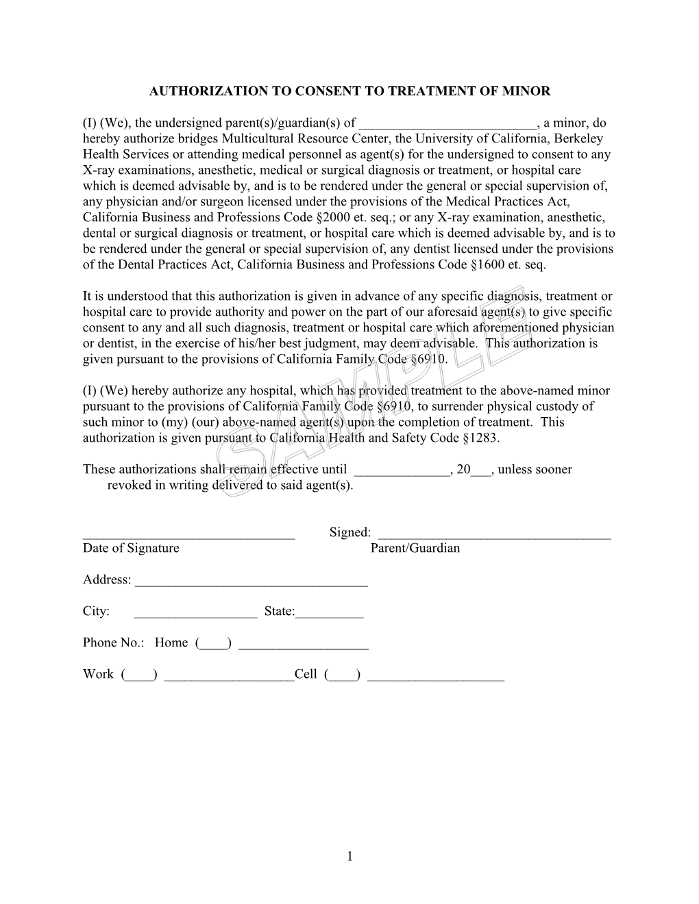 Authorization to Consent to Treatment of Minor