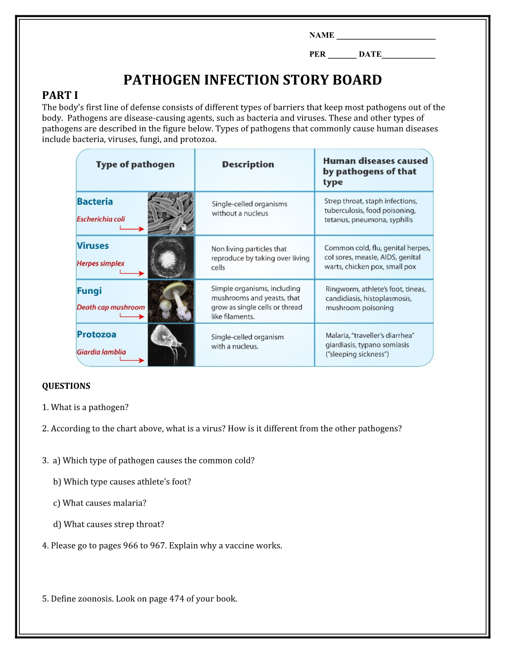 Pathogen Infection Story Board