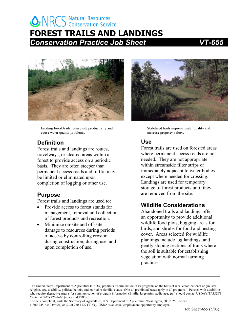 Erosion Control for Forest Trails and Landings