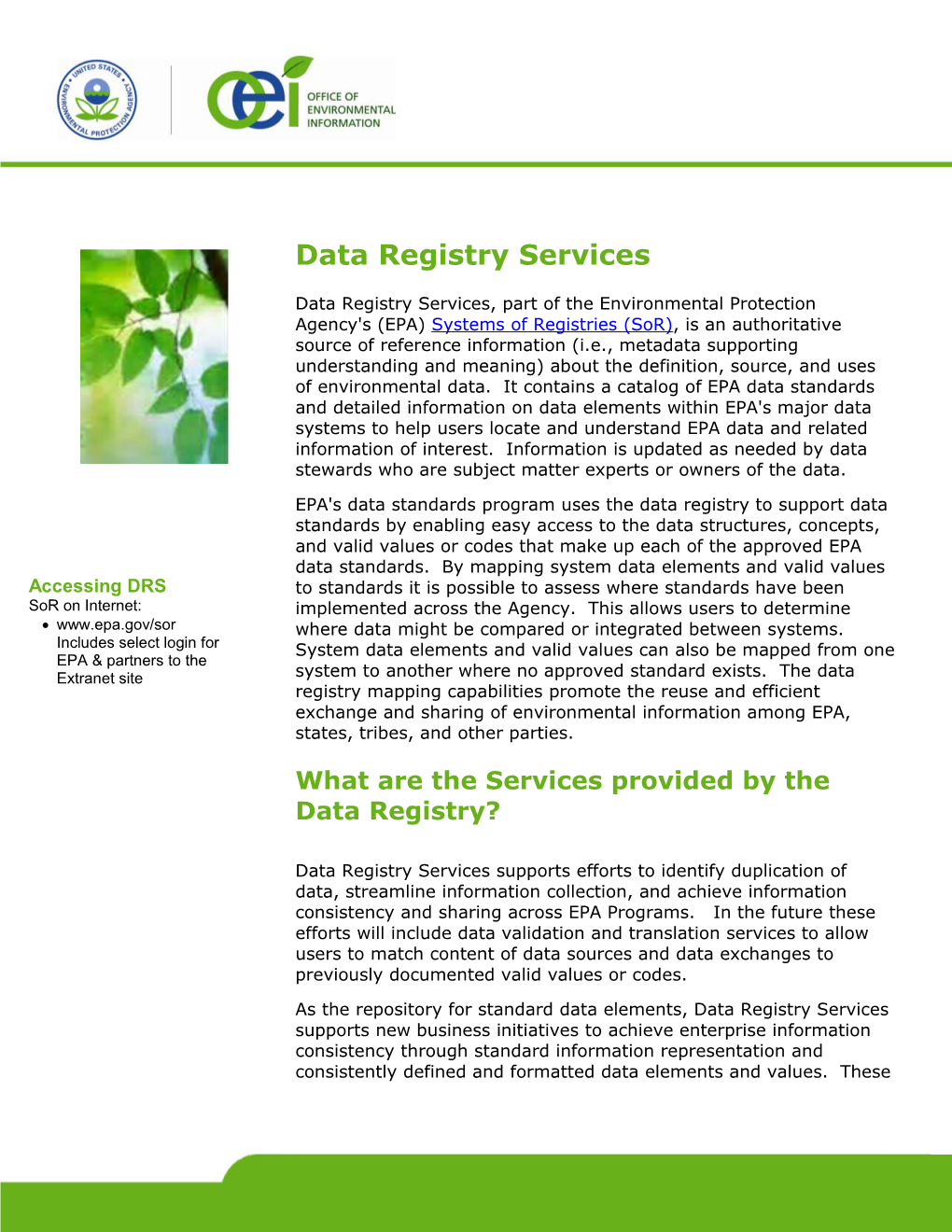 What Are the Services Provided by the Data Registry?